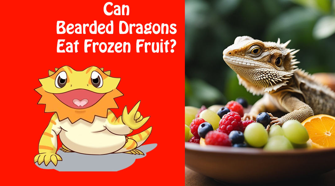 Can Bearded Dragons Eat Frozen Fruit