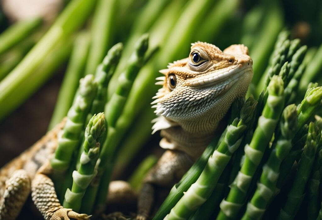 Can Bearded Dragons Eat Asparagus Raw