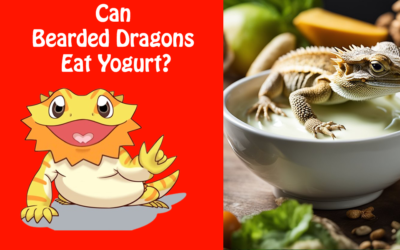 Can Bearded Dragons Eat Yogurt?