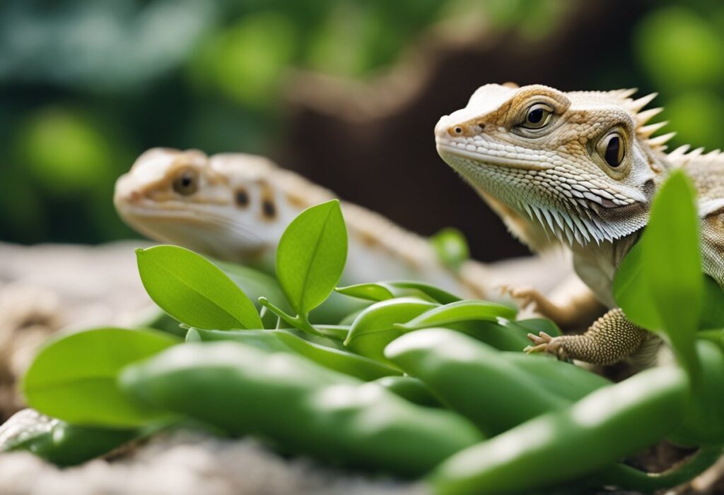 Can Bearded Dragons Eat Snow Peas