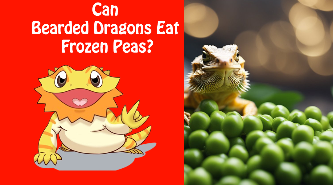 Can Bearded Dragons Eat Frozen Peas?