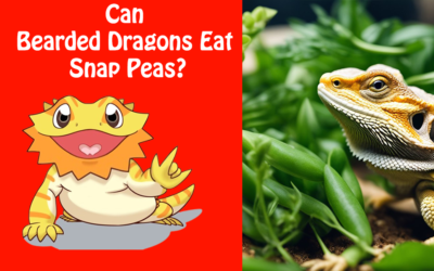 Can Bearded Dragons Eat Snap Peas?